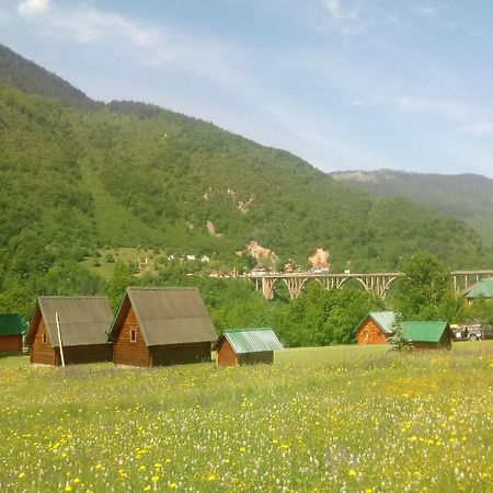 Kamp Rafting Kljajevica Luka Villa Pljevlja Bilik gambar